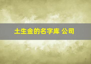 土生金的名字库 公司